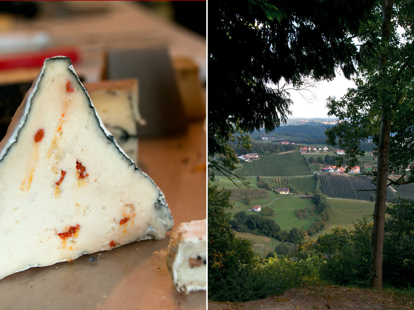 cheese artist riegersburg