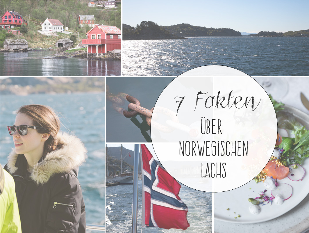 7 Fakten über norwegischen Lachs