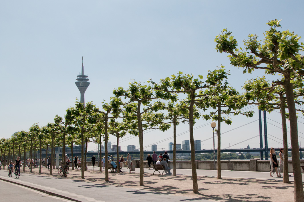 Rheinpromenade Düsseldorf