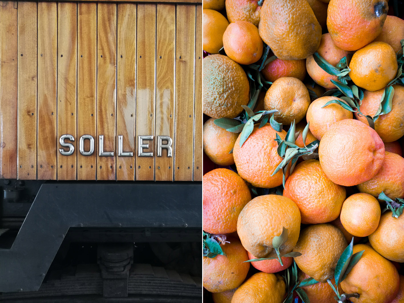 Orangen in Soller