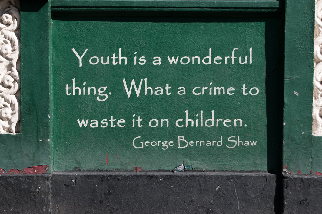 Quote George Bernard Shaw